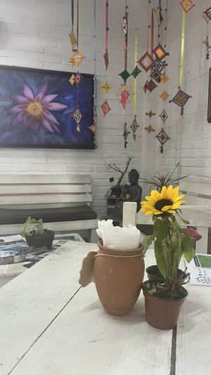   at Elixir Spot in Puerto Vallarta