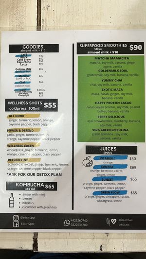 Menu  at Elixir Spot in Puerto Vallarta