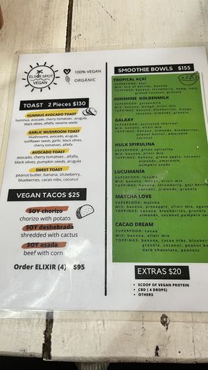   at Elixir Spot in Puerto Vallarta