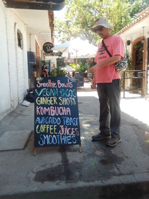 On the menu at Elixir Spot in Puerto Vallarta