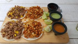  at Elixir Spot in Puerto Vallarta