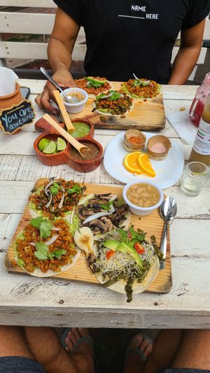 New dinner menu - vegan tacos and drinks at Elixir Spot in Puerto Vallarta