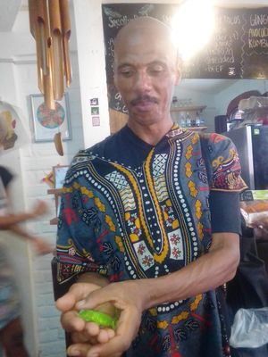 Lizard came in the shop and she let me hold it:) at Elixir Spot in Puerto Vallarta