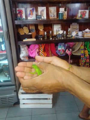 Hallo little fella;) at Elixir Spot in Puerto Vallarta