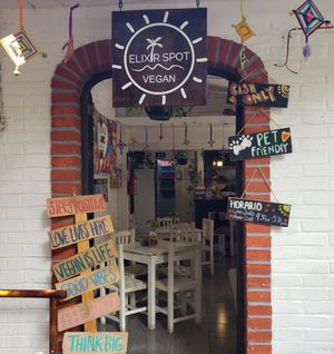  at Elixir Spot in Puerto Vallarta