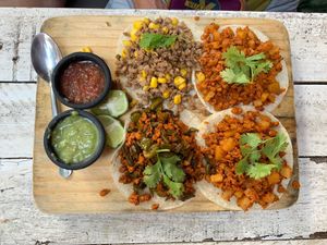  at Elixir Spot in Puerto Vallarta