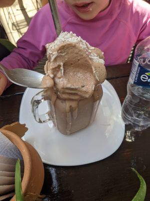  at Elixir Spot in Puerto Vallarta