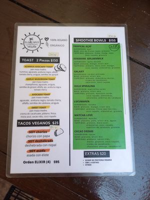 Menu at Elixir Spot in Puerto Vallarta