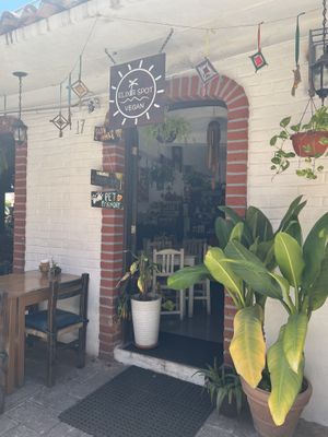   at Elixir Spot in Puerto Vallarta