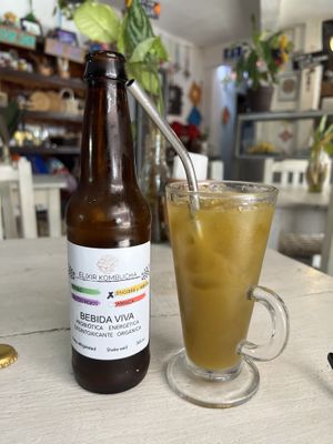 Homemade kombucha   at Elixir Spot in Puerto Vallarta