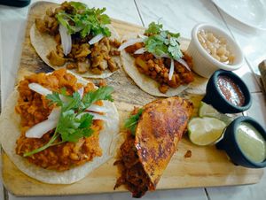  at Elixir Spot in Puerto Vallarta