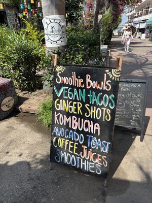 the promised land   at Elixir Spot in Puerto Vallarta