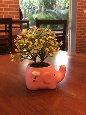 Loved this  at The Vegetarian in Phnom Penh