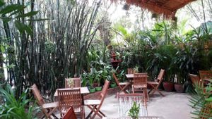 The Vegetarian Phnom Penh at The Vegetarian in Phnom Penh