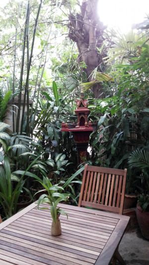 The Vegetarian Phnom Penh at The Vegetarian in Phnom Penh