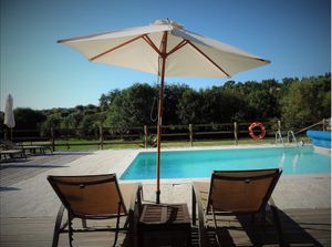 Guests have use of a private, heated pool. at Quinta Rio de Oliveira in Vila Cha Covas