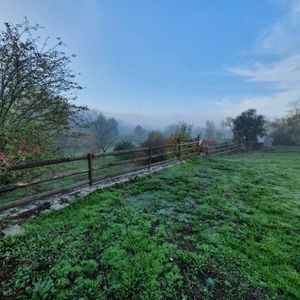 Autumn at the Quinta. at Quinta Rio de Oliveira in Vila Cha Covas