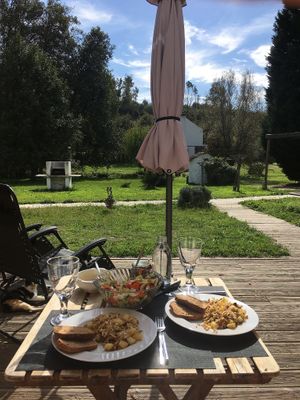 Breakfast in this view 😍 at Quinta Rio de Oliveira in Vila Cha Covas