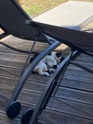  at Quinta Rio de Oliveira in Vila Cha Covas