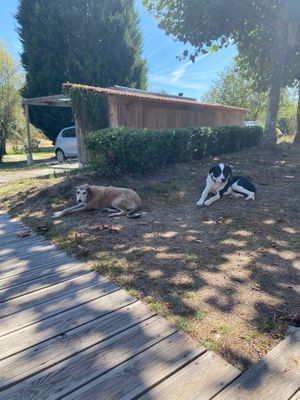  at Quinta Rio de Oliveira in Vila Cha Covas