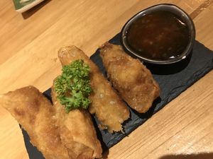 spring rolls  at BOA Asia Vegan in Lueneburg