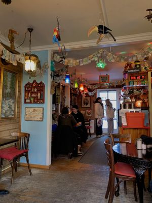   at Cafe Babalu in Reykjavik