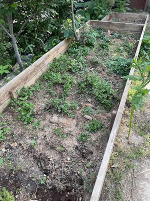   at Nokdu - Plant Based Studio 채식공간 녹두 in Gyeonggi-do