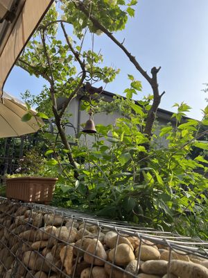   at Nokdu - Plant Based Studio 채식공간 녹두 in Gyeonggi-do