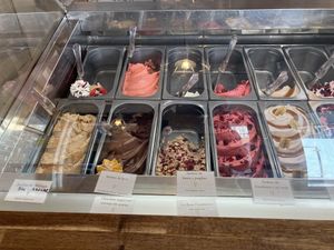 Vegan flavours   at Levi Angelo Gelato & Chocolate in Malaga