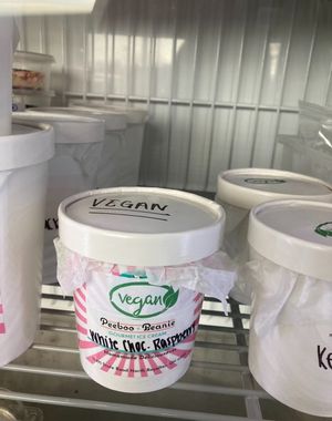 Vegan options available in tubs at Peeboo + Beanie Gourmet Ice Cream in North Royalton