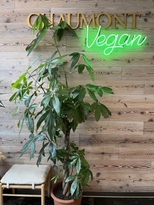   at Chaumont Vegan in Beverly Hills