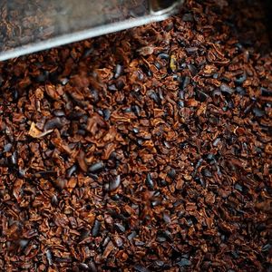  at Cabosse & Feve Chocolates in Castlemaine