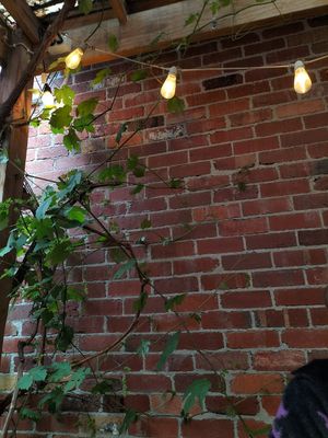  at Miss Moses in Brunswick