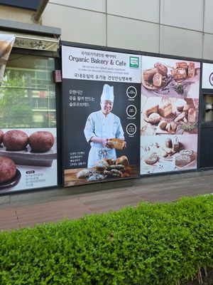 The chef at Dohyeongdang - 도형당  in Busan