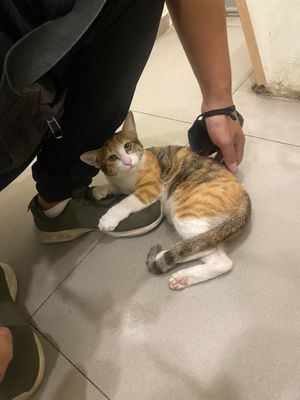   at Rawberry in Ho Chi Minh City