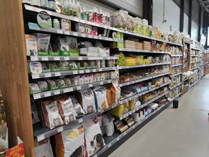 Animal at Les Comptoirs de la Bio in Quiberon