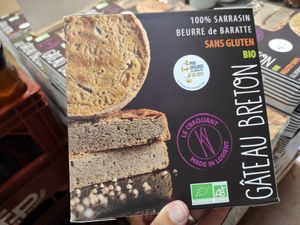 Sarracen at Les Comptoirs de la Bio in Quiberon