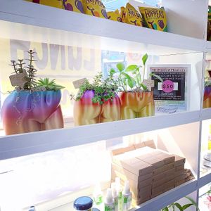 These butt planters are beautiful! 50$ at Vodega Deli & Grocery in Staten Island