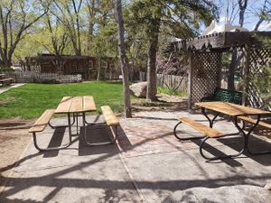 Garden seating at Walker Burger in Coleville