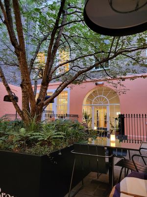 The garden at 123V Browns in London