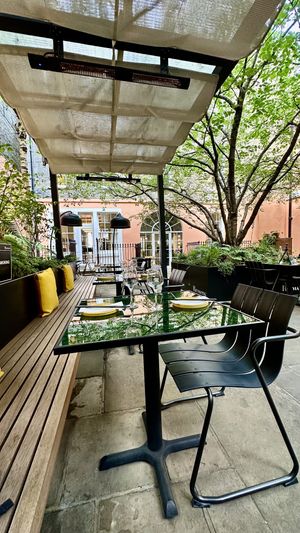 Garden  at 123V Browns in London