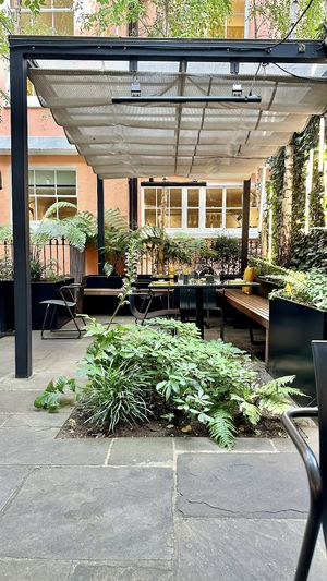 Garden  at 123V Browns in London