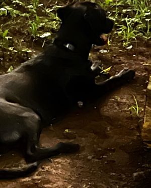   at La Yaqueria in Valladolid