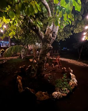   at La Yaqueria in Valladolid