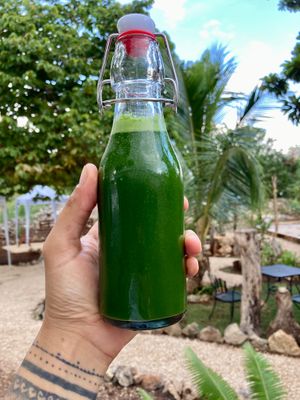 Life is green. at La Yaqueria in Valladolid