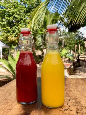 Cold press nutrition. at La Yaqueria in Valladolid