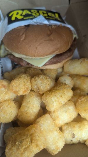 Tater tots were yummy and the small burger at Rascal in Newcastle