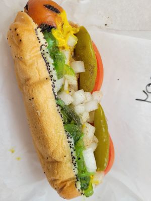 Chicago not dog dragged through the garden at Hubby's Dog House in Mt Prospect