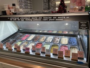 Everything’s vegan! at Kind Kones - Paragon Orchard in Central Singapore