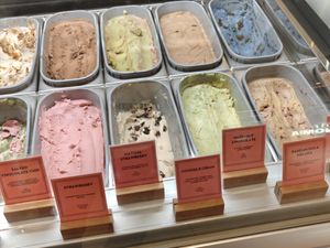  at Kind Kones - Paragon Orchard in Central Singapore